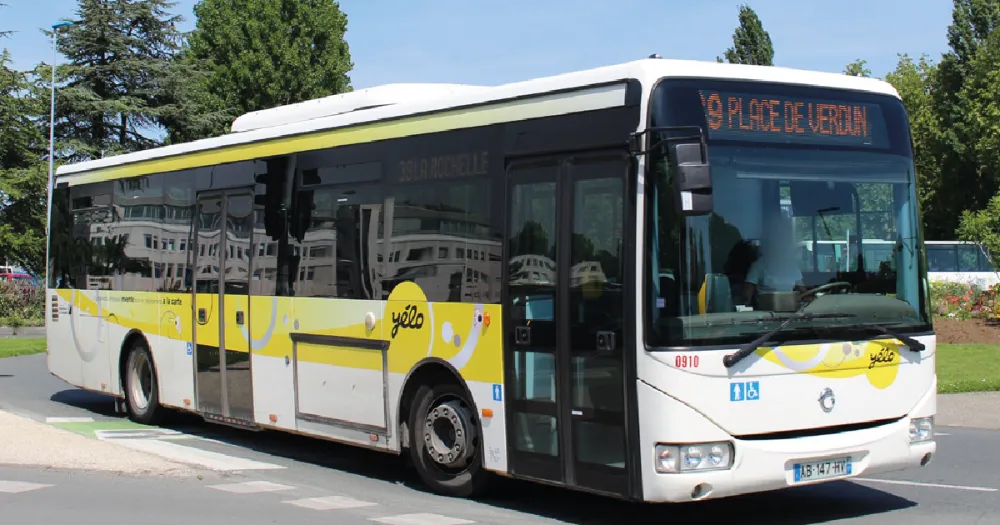 bus yelo
