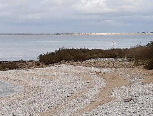 La baie d&rsquo;Yves au fil des Temps – L&rsquo;Anse de Fouras