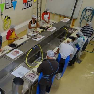 Animation – Atelier Comme un mareyeur