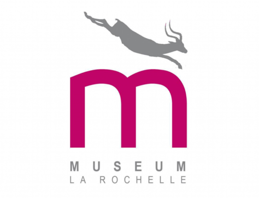 Animation – Ateliers d&rsquo;été au Muséum