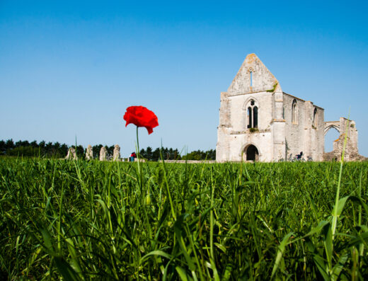Visite guidée de l&rsquo;Abbaye des Châteliers