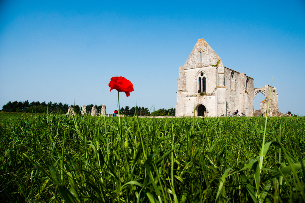 Visite guidée de l&rsquo;Abbaye des Châteliers