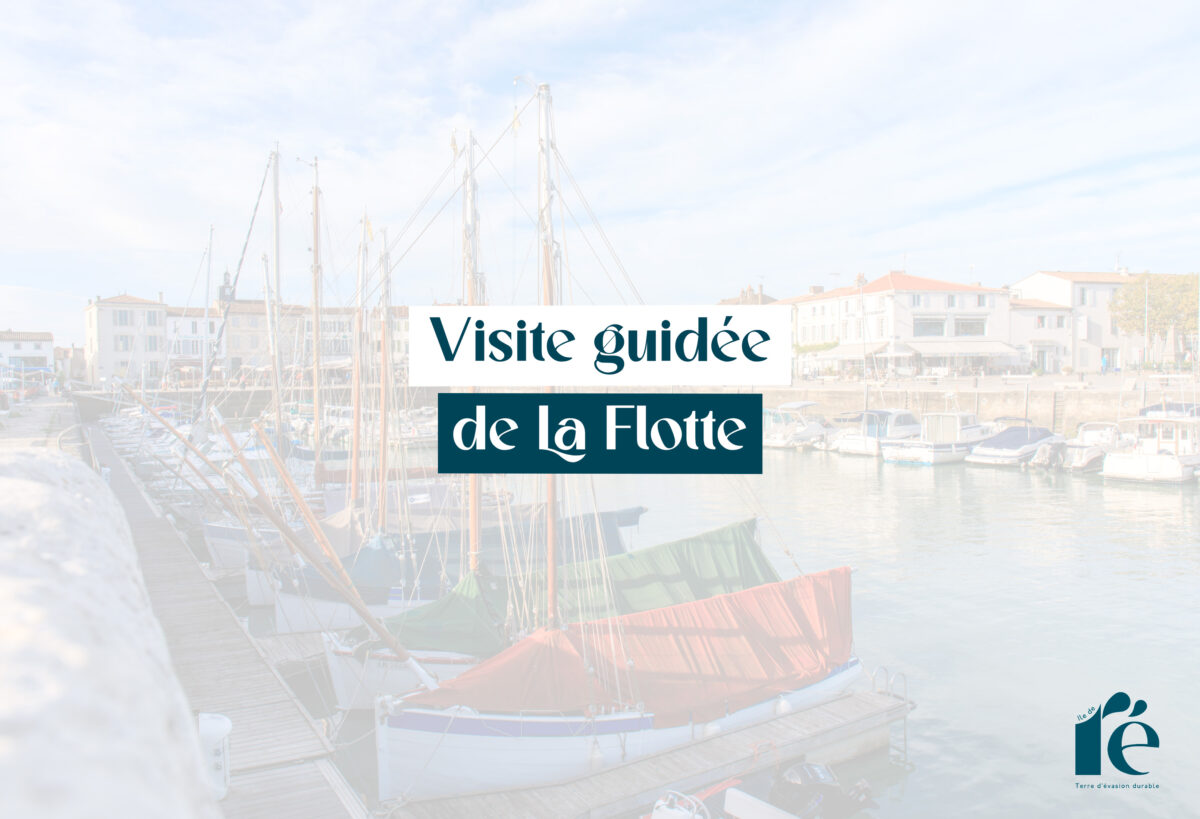Visite guidée de La Flotte
