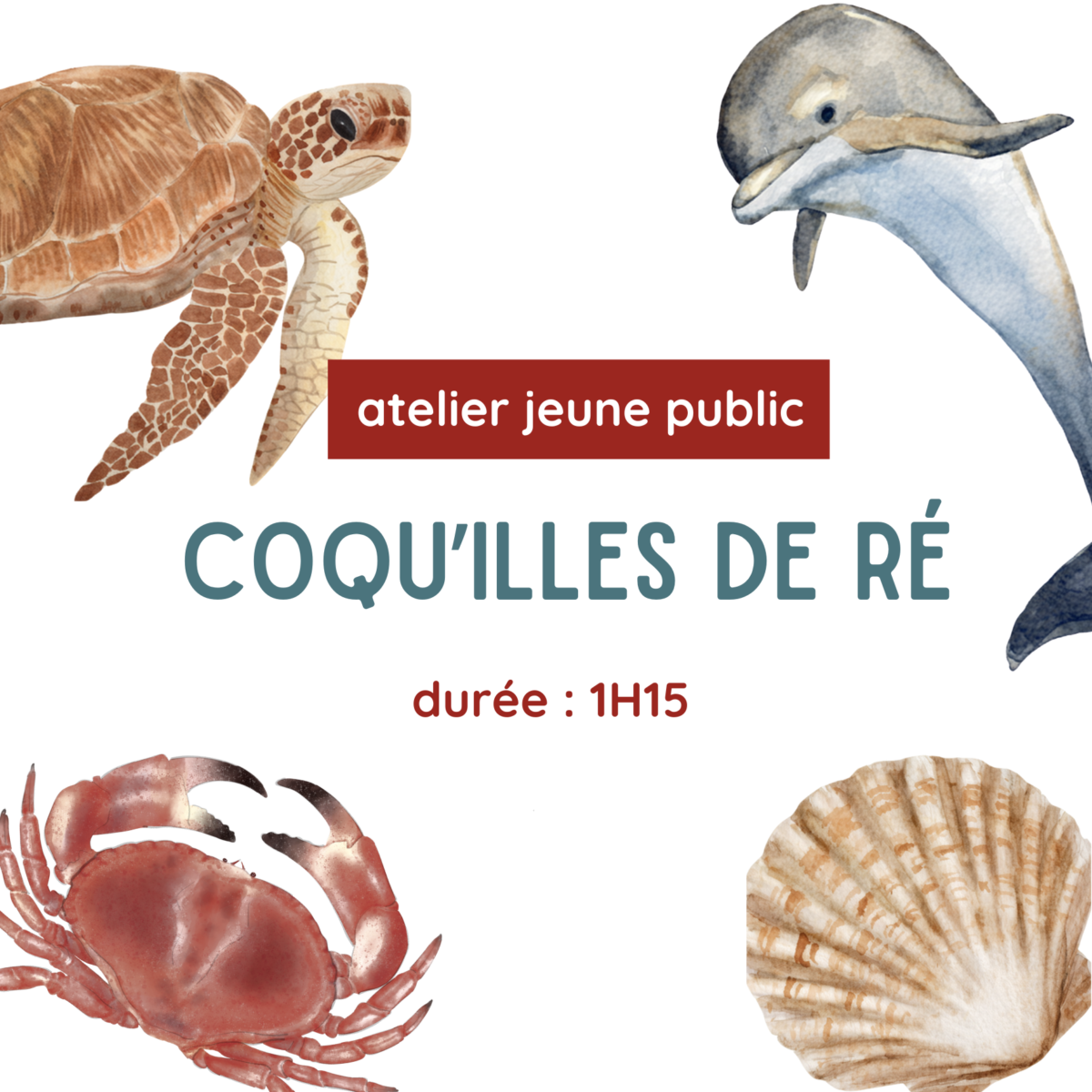 Atelier Jeune Public : Coqu’illes de Ré