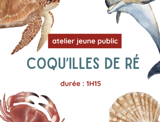 Atelier Jeune Public : Coqu’illes de Ré