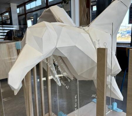 Animation – Petit albatros de papier