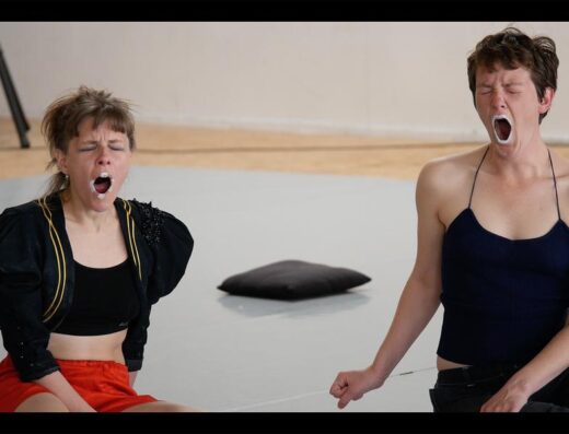 Danse – travaux publics avec Fanny Brouyaux – Un Bal