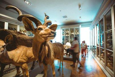 Animation – Les ateliers des vacances d&rsquo;automne au Muséum