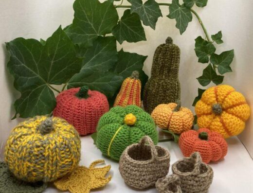 Atelier – Stage de crochet pour tous – Réaliser une coloquinte