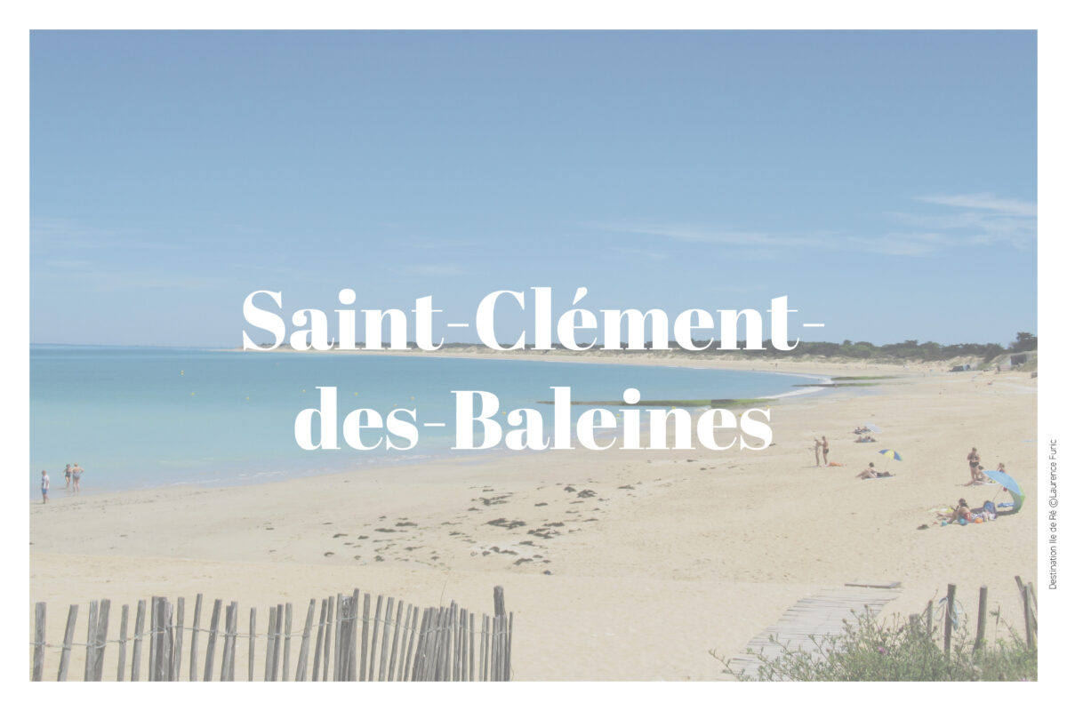 Sortie Echappées Nature « Pointe des Baleines »