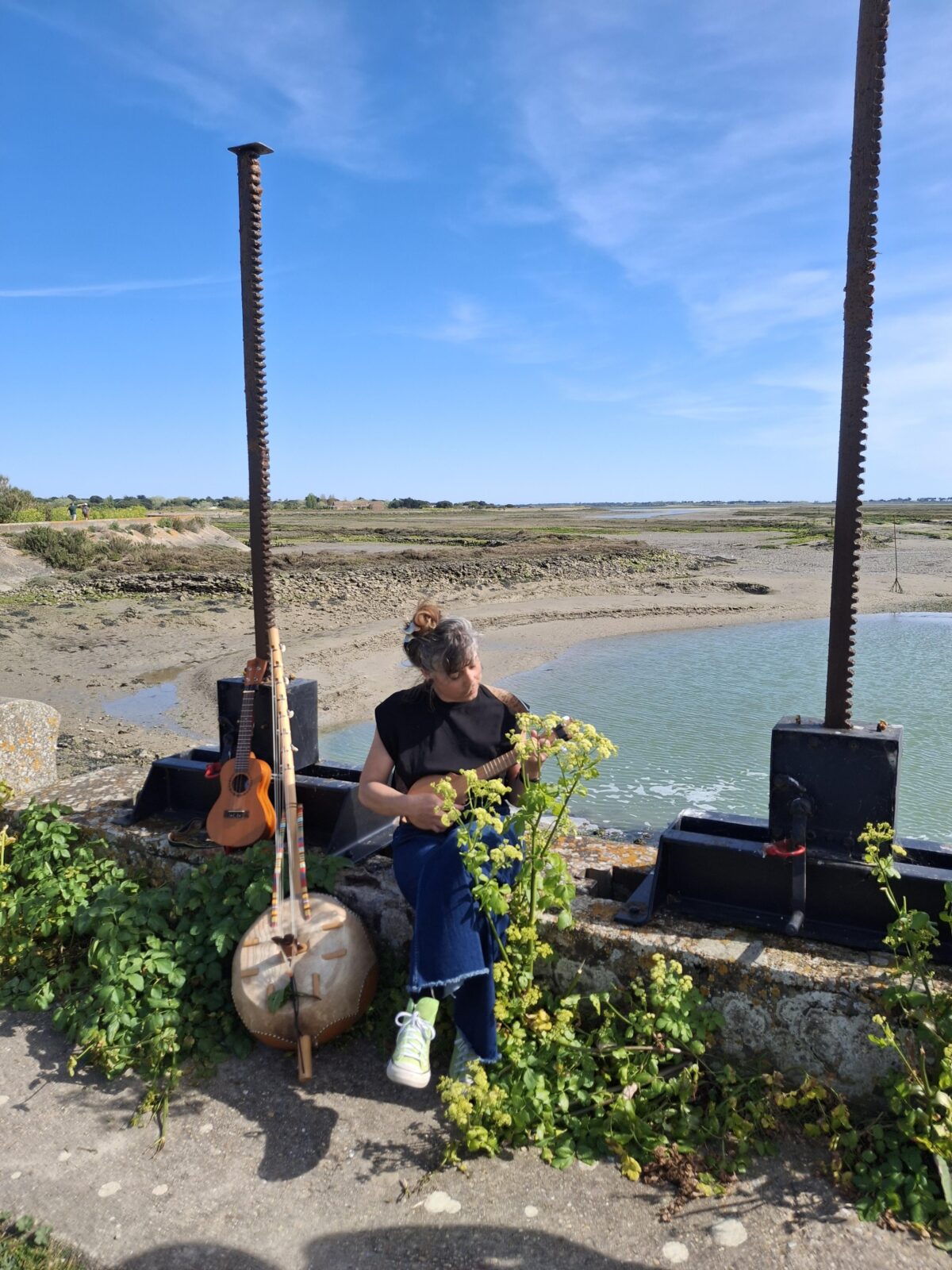Sortie nature poétique et musicale « La voix du marais » avec Clémentine Mallein.