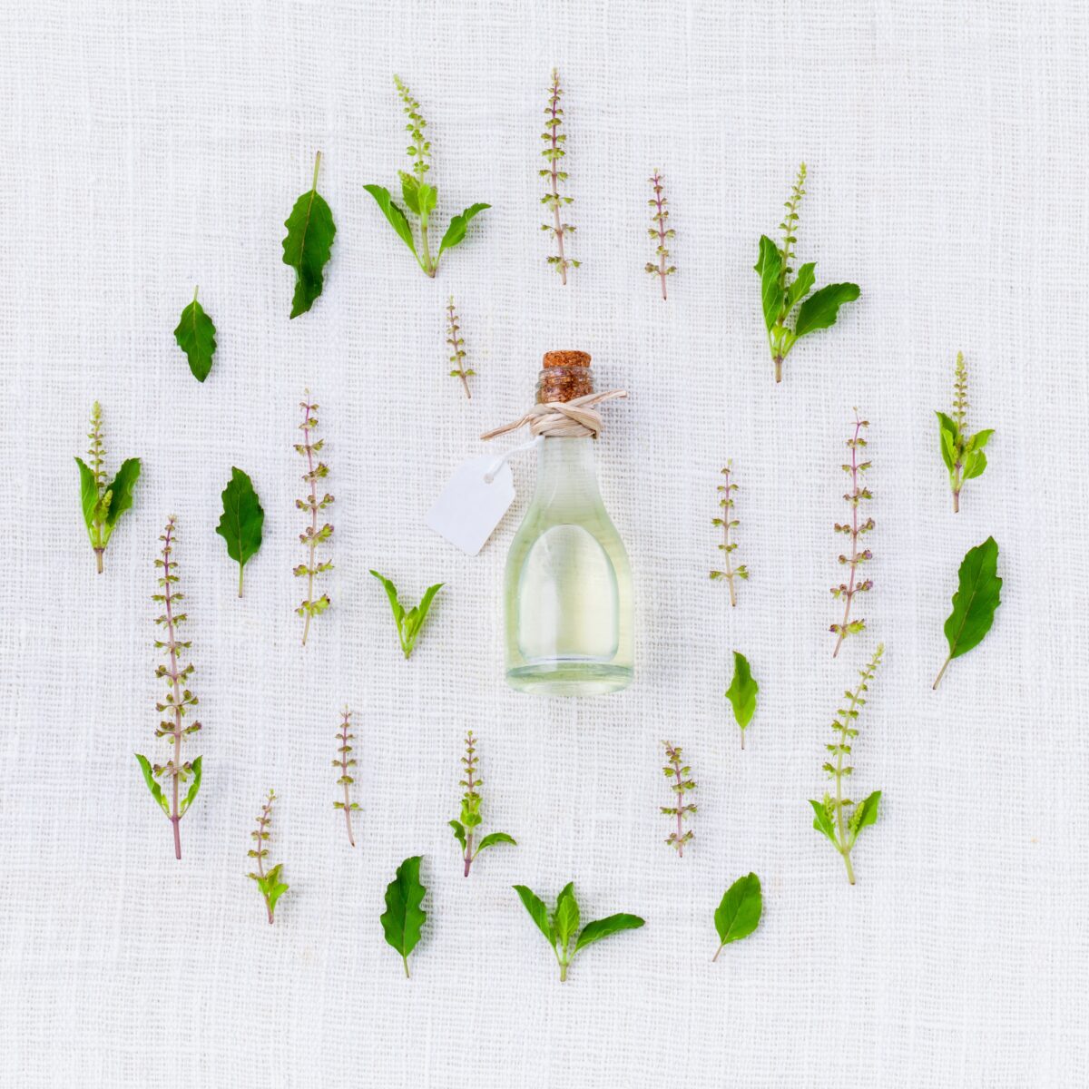 Atelier « Je crée ma brume aromatique »